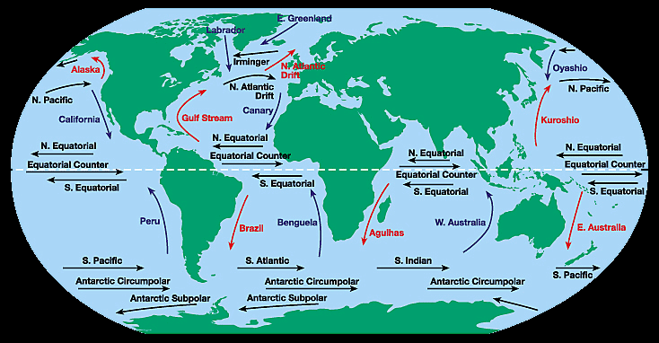 oceanic current circulation